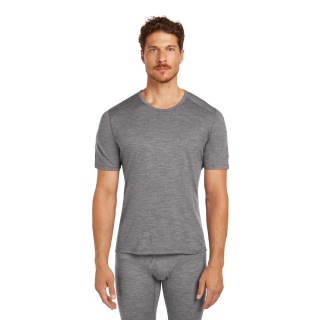 Icebreaker Bielizna T-shirt 200 Oasis SS Crewe dopasowane (wełna merino) szary mężczyźni